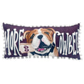 Collegiate Lumbar Pillows