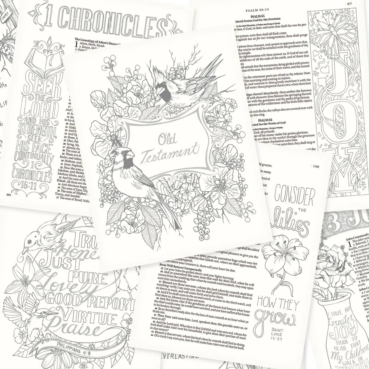 KJV Creative Bible