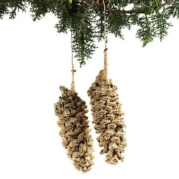 Pinecone Pair
