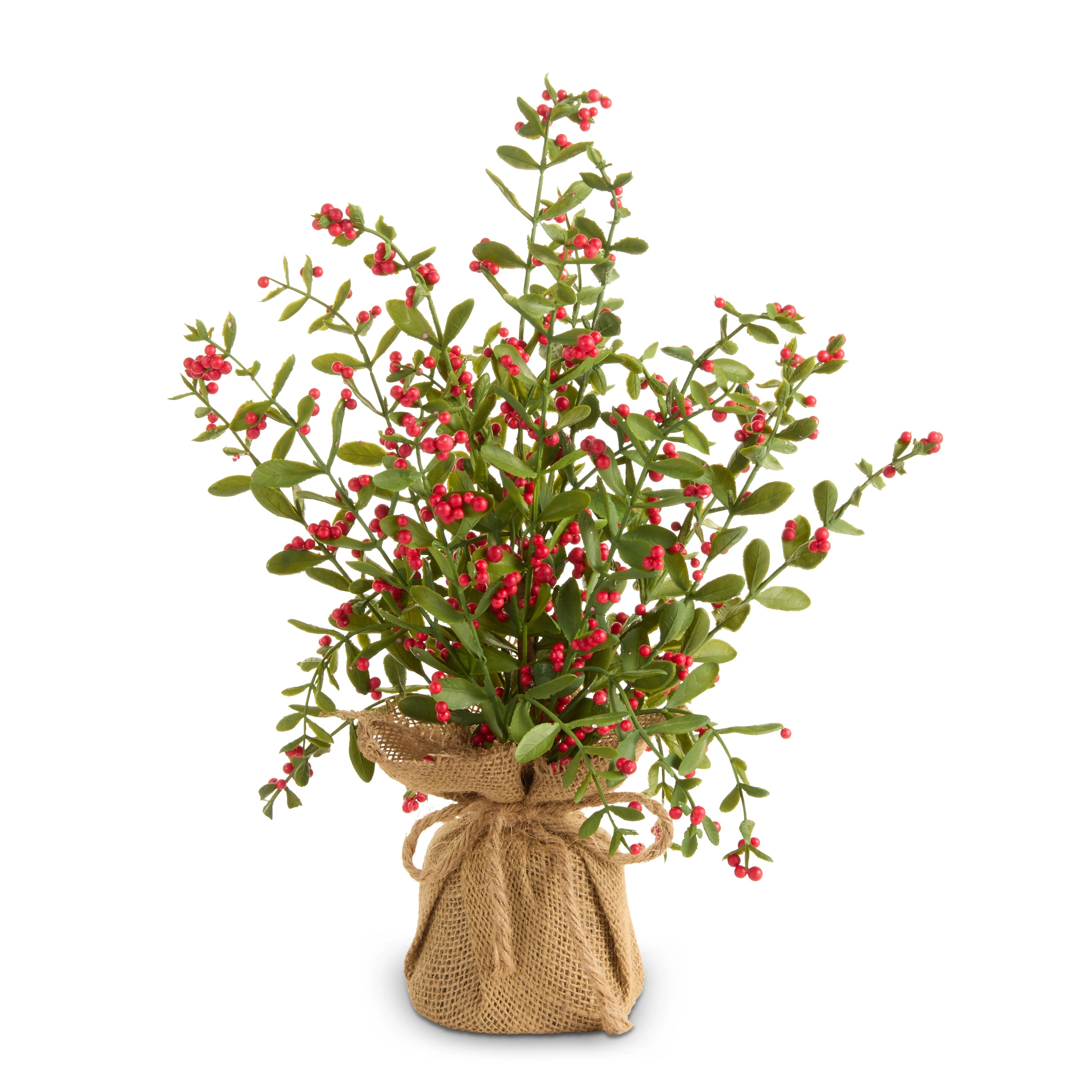 Red Berry Tree in Burlap