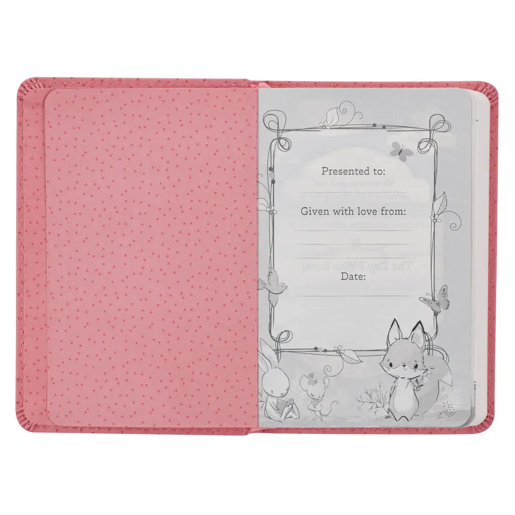 NLT New Testament Bible
