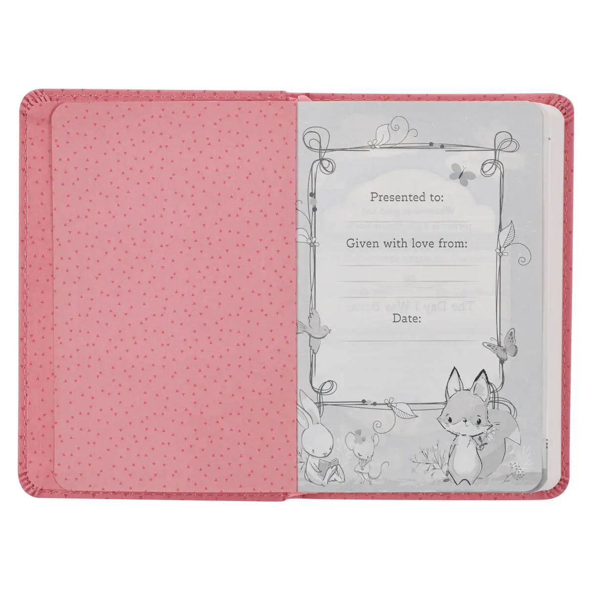 NLT New Testament Bible
