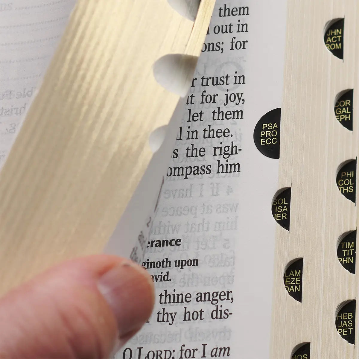 KJV Giant Print Bible