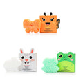 Nature Animal Sponges