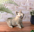 Happy Pig Planter