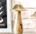 Gold Top Wood Mushroom