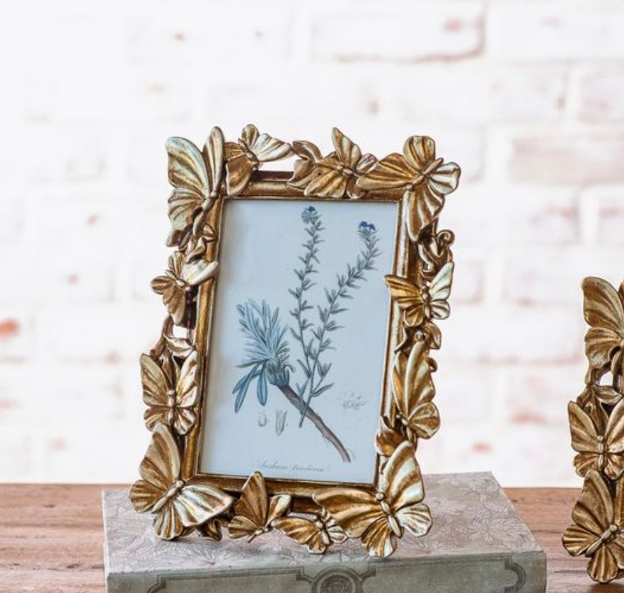 4x6 Bronze Butterfly Frame