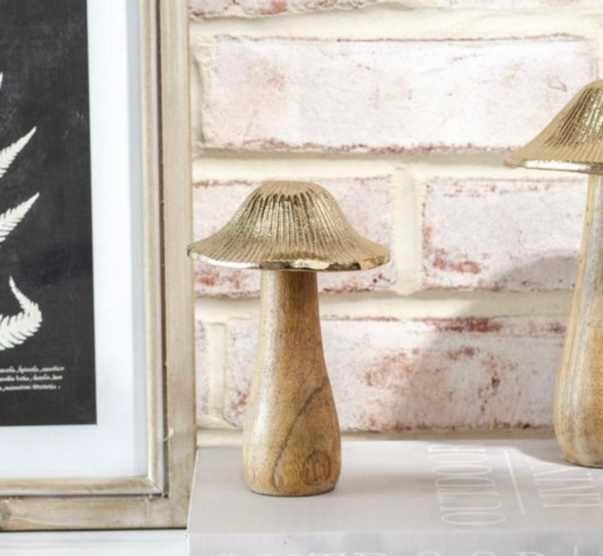 Gold Top Wood Mushroom