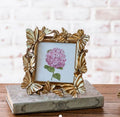 4x4 Bronze Butterfly Frame