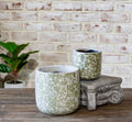 Floral Garden Pots