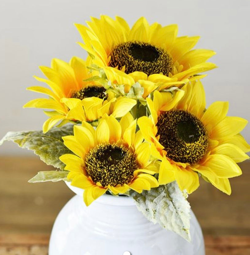 17.75 Sunflower