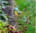 Metal Bird Yard Stake