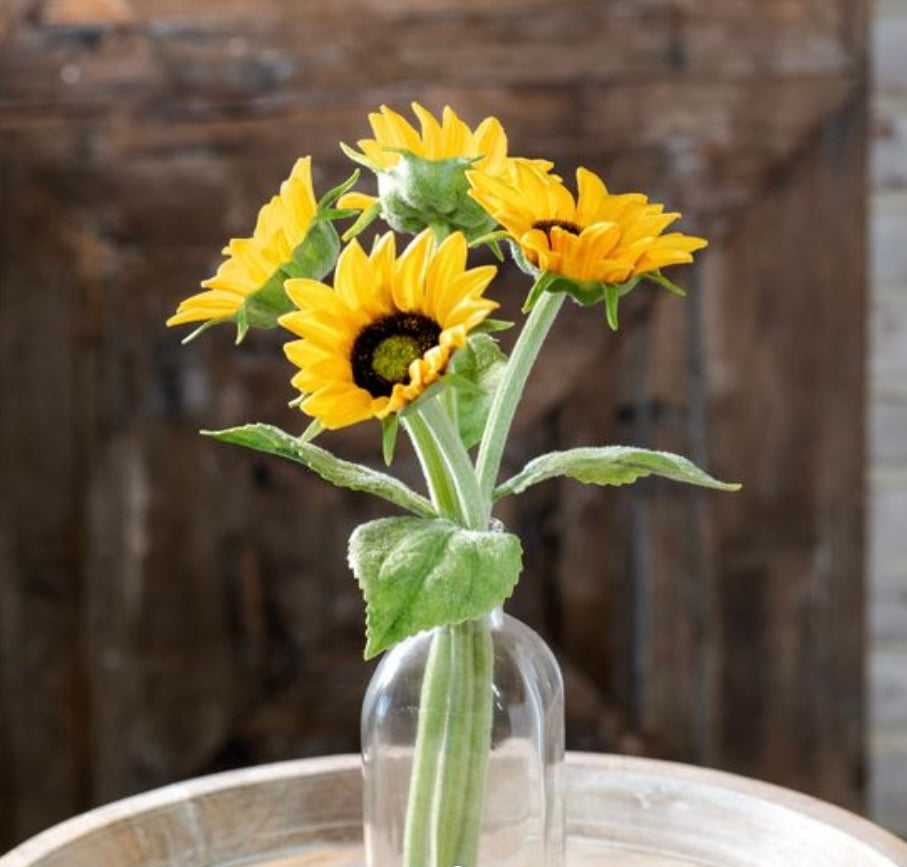 Sunflower Bundle