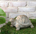 Gold Wash Garden Turtle