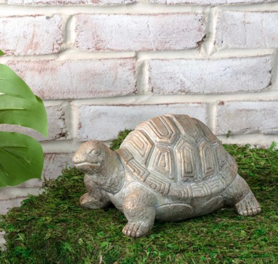 Gold Wash Garden Turtle