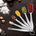 Stainless Steel Measuring Spoons