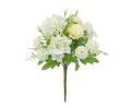 Cream Hydrangea Bush