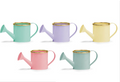 Watering Can 4"