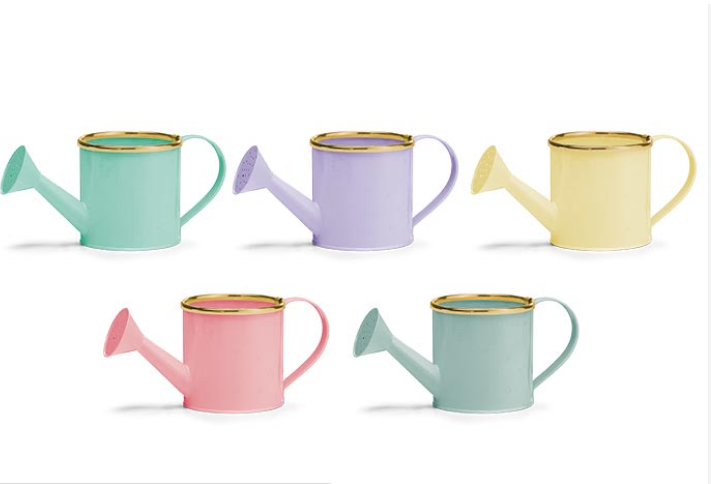 Watering Can 4"
