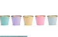 6" Pots