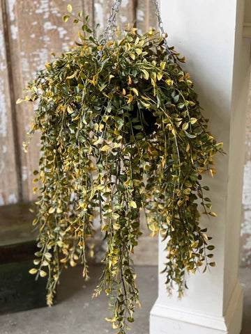 28" Claremont Leaf Hanging Basket