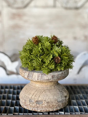 6" Leyland Cypress Half Sphere