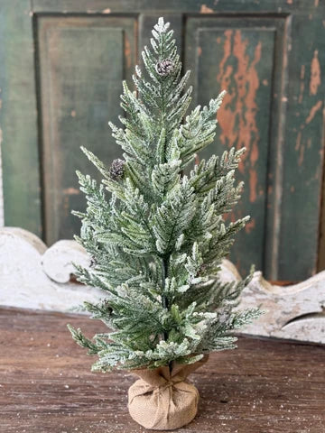 24" Winter Overture Pine Tree