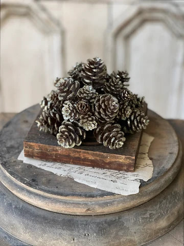 7" Shimmer Pinecone Half Sphere