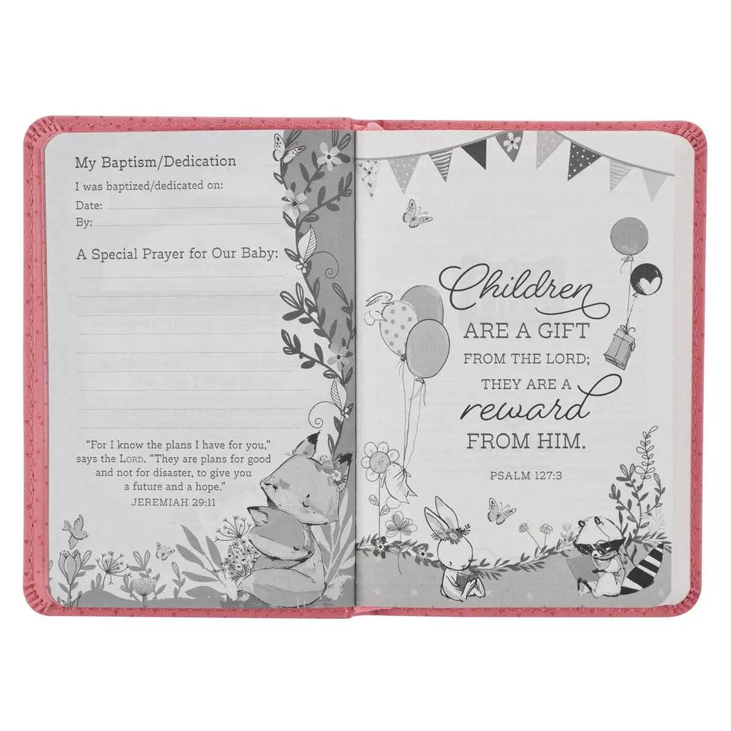 NLT New Testament Bible