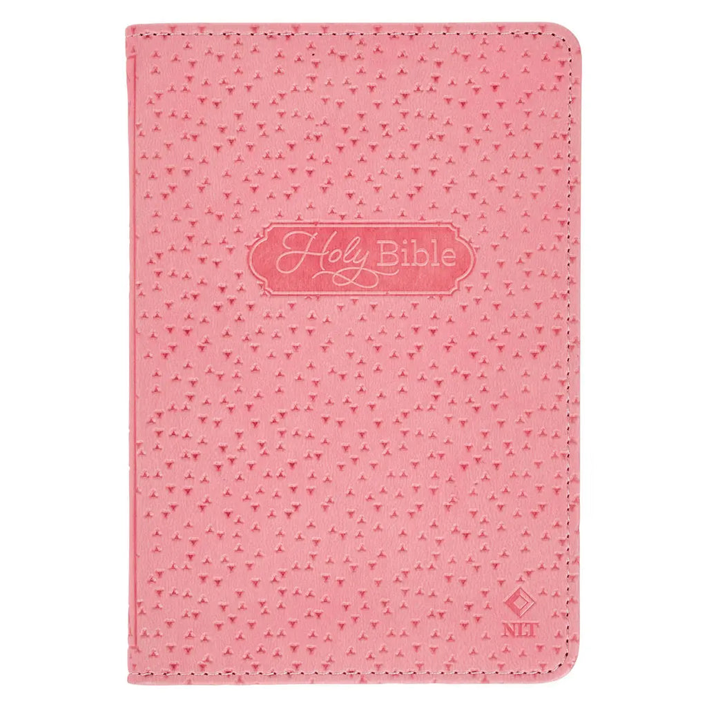 NLT New Testament Bible