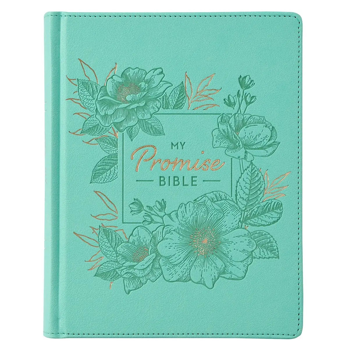 KJV Promise Bible