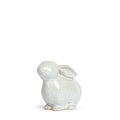 Sitting Bunny
