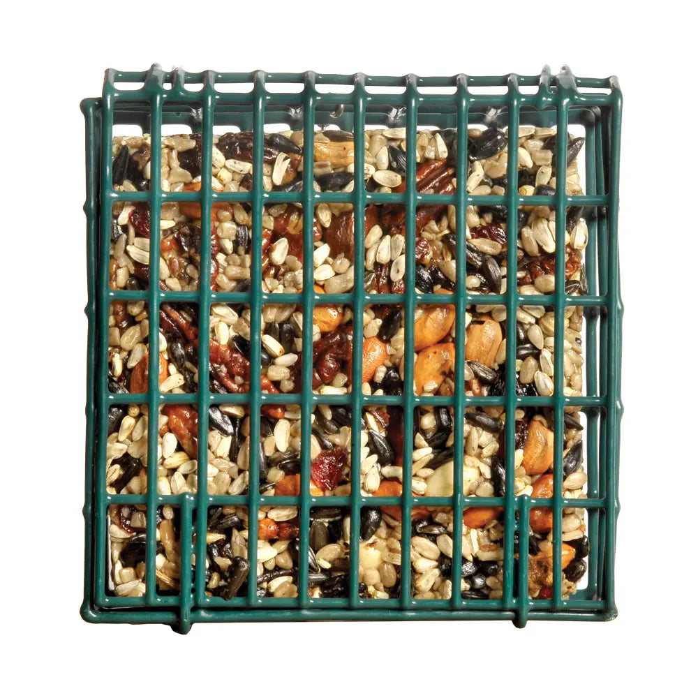 Neat Feeder