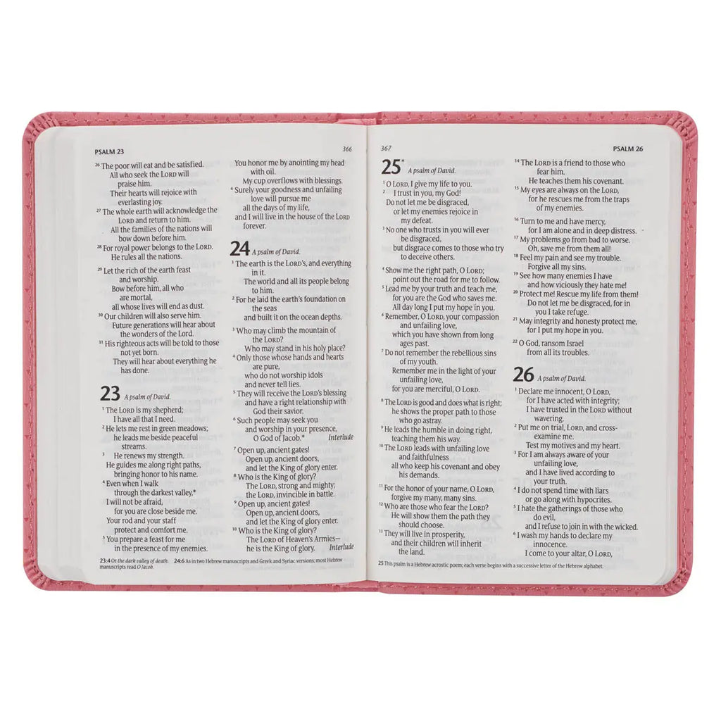 NLT New Testament Bible