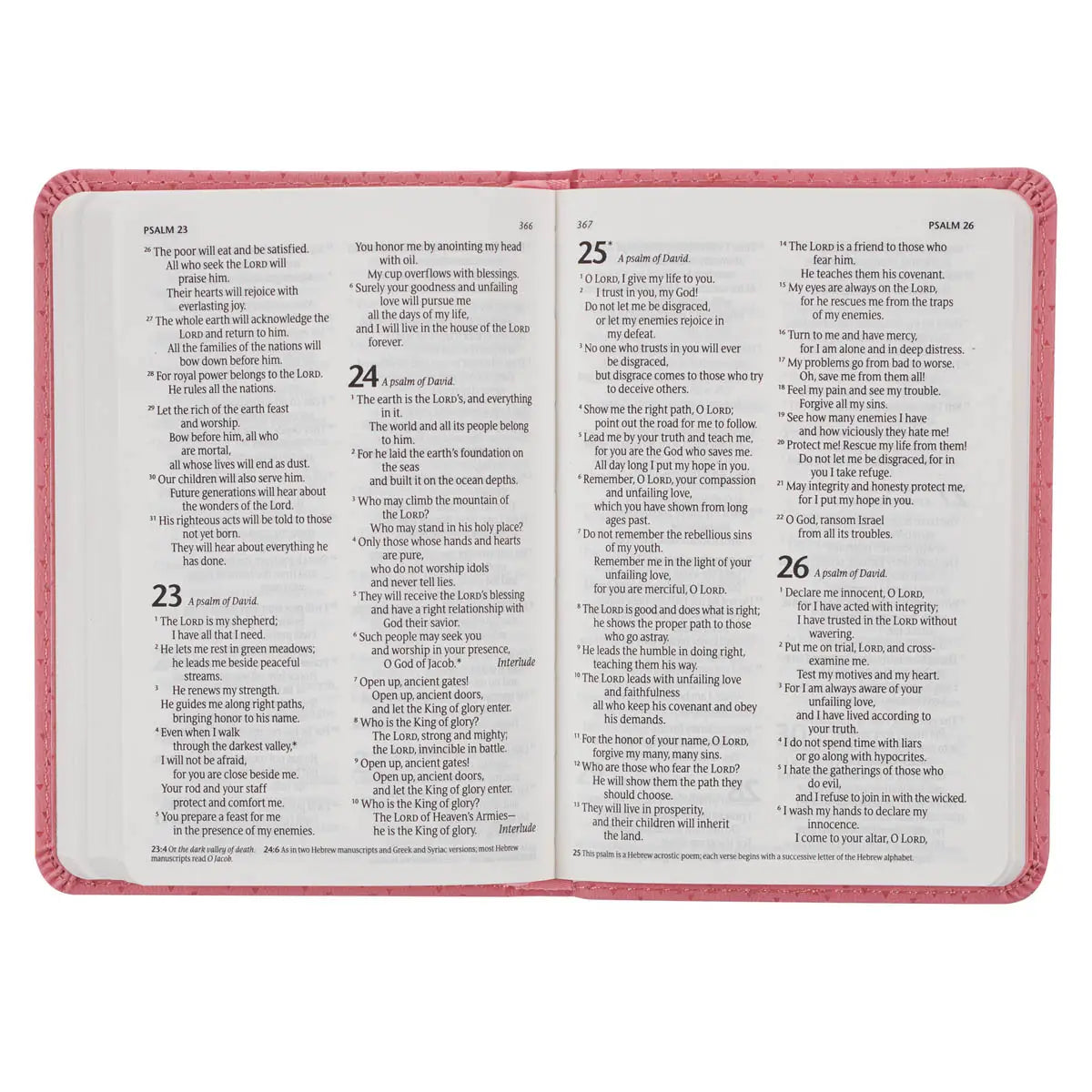NLT New Testament Bible
