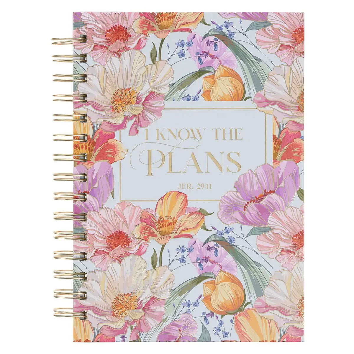 I Know the Plans